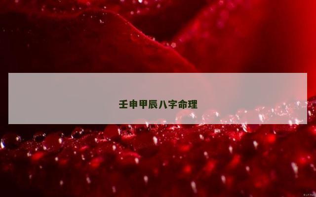 壬申甲辰八字命理