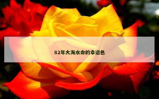 82年大海水命的幸运色