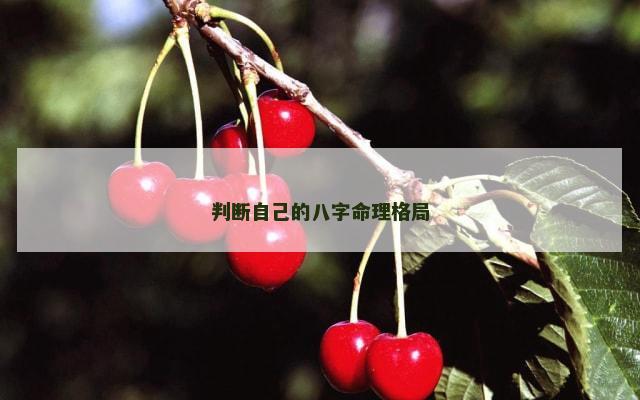 判断自己的八字命理格局
