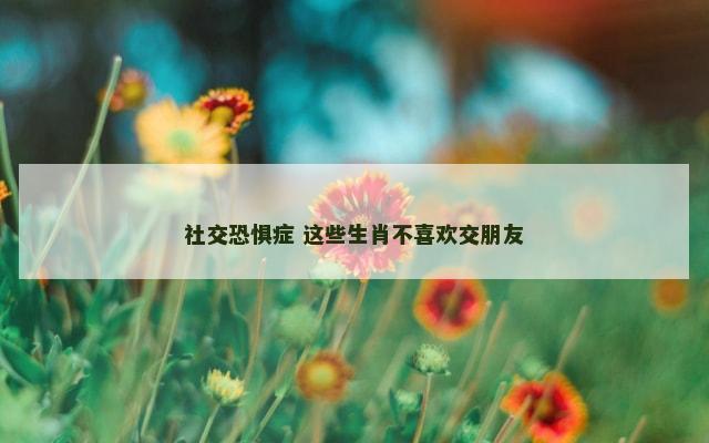 社交恐惧症 这些生肖不喜欢交朋友