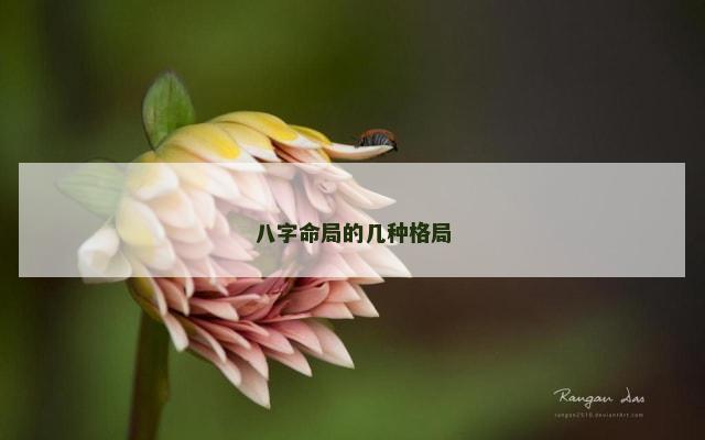 八字命局的几种格局