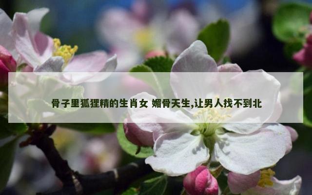 骨子里狐狸精的生肖女 媚骨天生,让男人找不到北