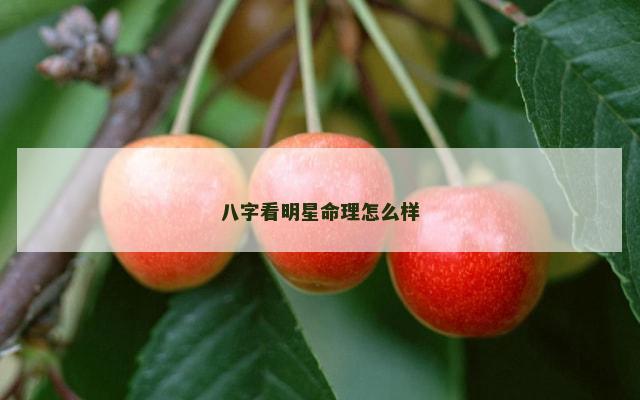 八字看明星命理怎么样