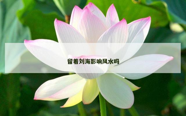 留着刘海影响风水吗