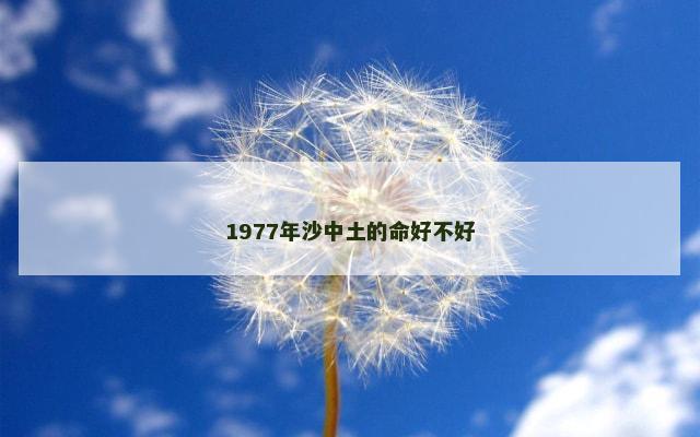 1977年沙中土的命好不好