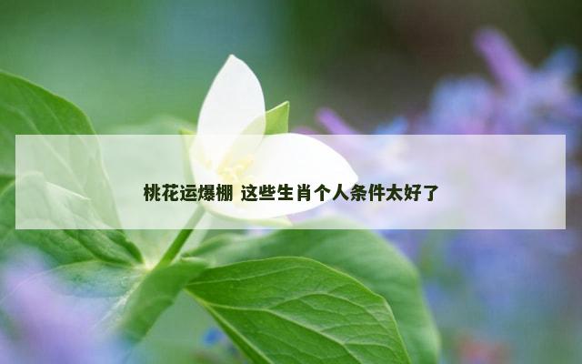 桃花运爆棚 这些生肖个人条件太好了