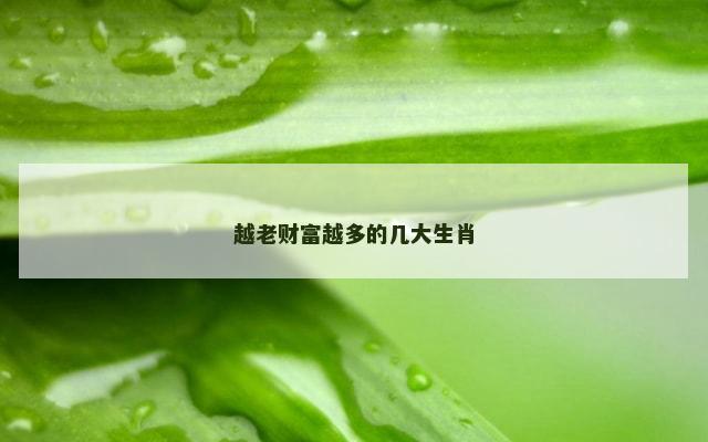 越老财富越多的几大生肖