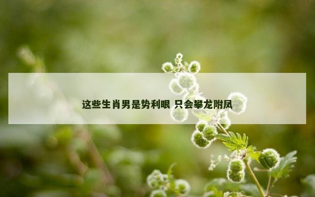 这些生肖男是势利眼 只会攀龙附凤