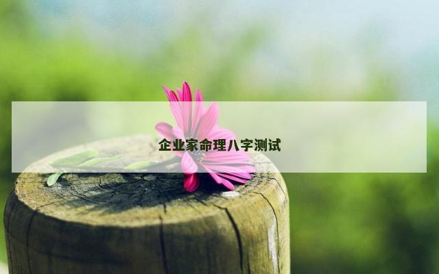 企业家命理八字测试