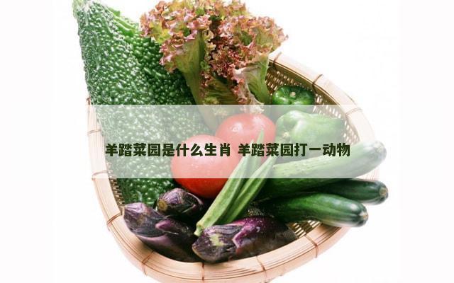 羊踏菜园是什么生肖 羊踏菜园打一动物
