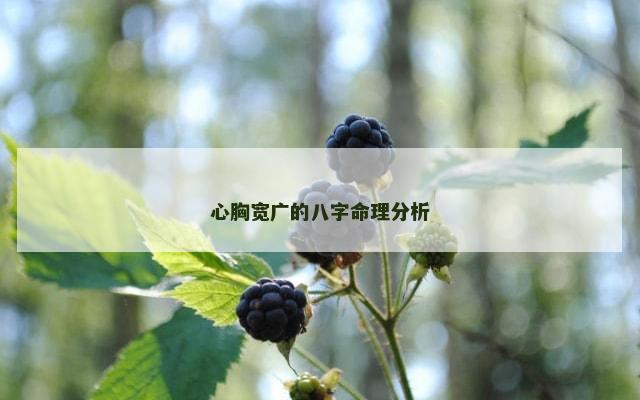 心胸宽广的八字命理分析
