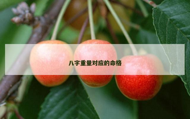八字重量对应的命格