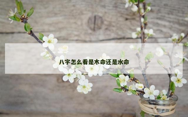 八字怎么看是木命还是水命
