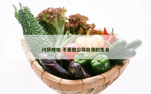 讨厌规矩 不爱做公司白领的生肖