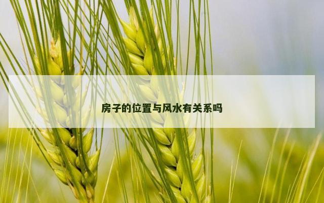 房子的位置与风水有关系吗