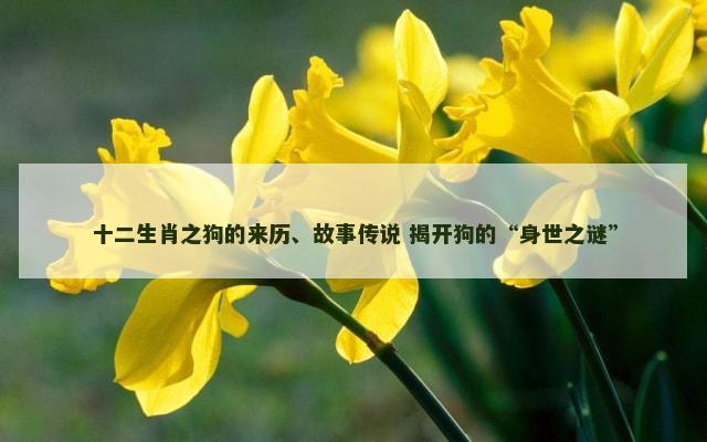 十二生肖之狗的来历、故事传说 揭开狗的“身世之谜”