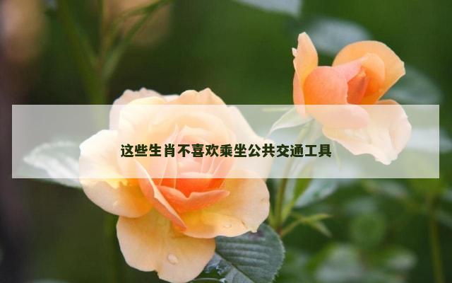 这些生肖不喜欢乘坐公共交通工具