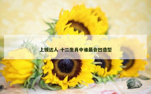 上镜达人 十二生肖中谁最会凹造型