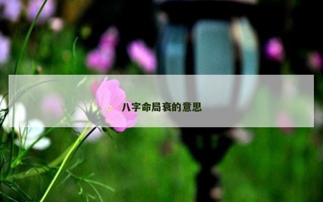 八字命局衰的意思