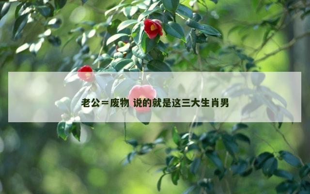 老公＝废物 说的就是这三大生肖男