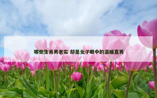 哪些生肖男老实 却是女子眼中的温暖直男