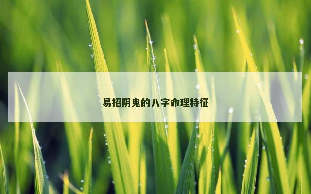 易招阴鬼的八字命理特征