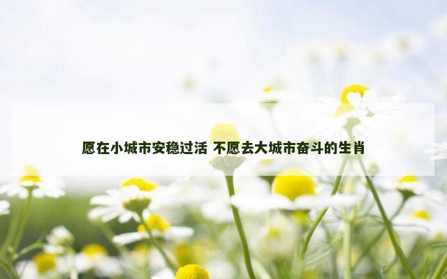 愿在小城市安稳过活 不愿去大城市奋斗的生肖