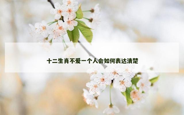十二生肖不爱一个人会如何表达清楚
