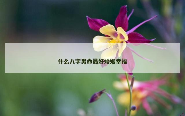 什么八字男命最好婚姻幸福