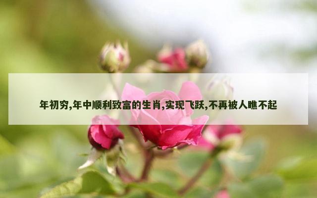 年初穷,年中顺利致富的生肖,实现飞跃,不再被人瞧不起