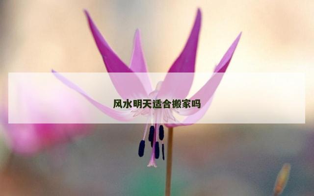 风水明天适合搬家吗