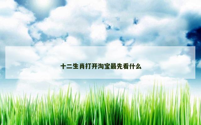 十二生肖打开淘宝最先看什么