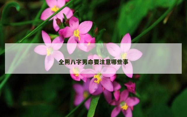 全阴八字男命要注意哪些事