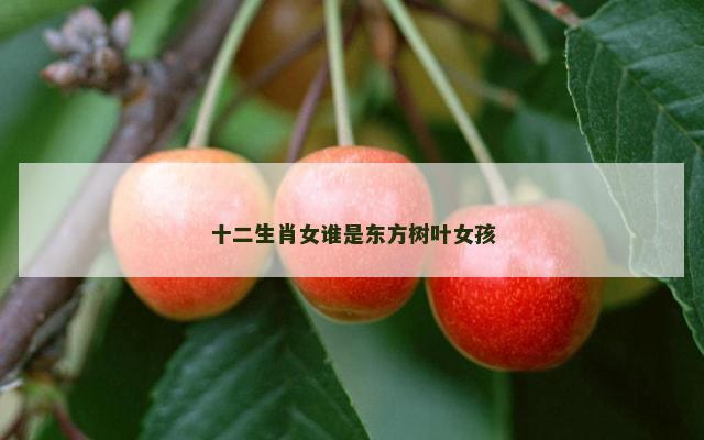 十二生肖女谁是东方树叶女孩