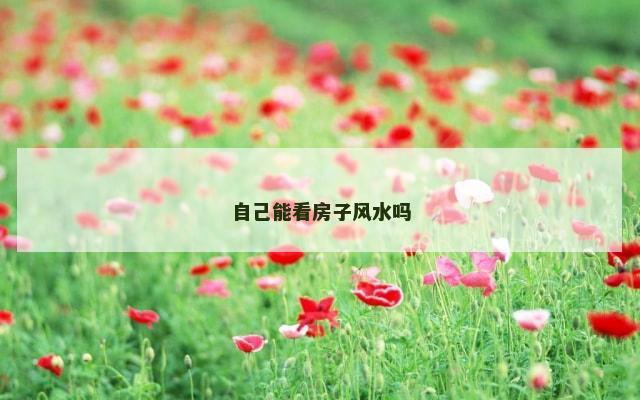 自己能看房子风水吗