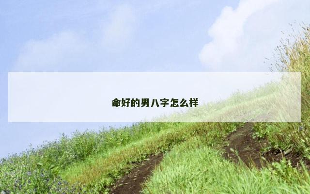 命好的男八字怎么样