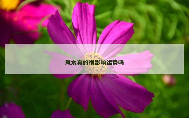 风水真的很影响运势吗