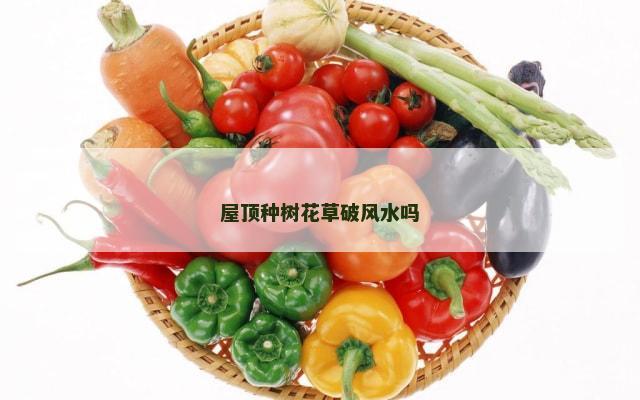 屋顶种树花草破风水吗