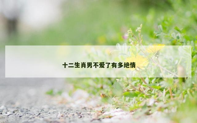十二生肖男不爱了有多绝情