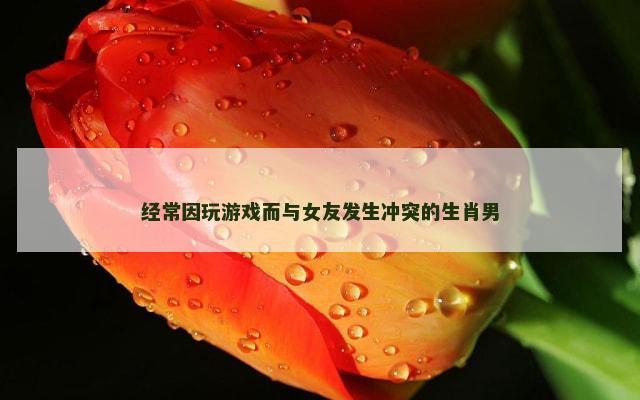 经常因玩游戏而与女友发生冲突的生肖男