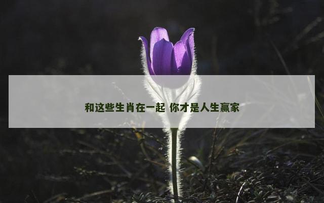 和这些生肖在一起 你才是人生赢家