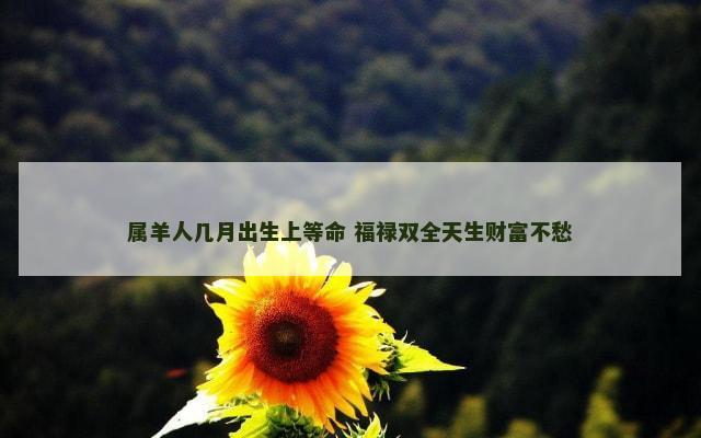 属羊人几月出生上等命 福禄双全天生财富不愁