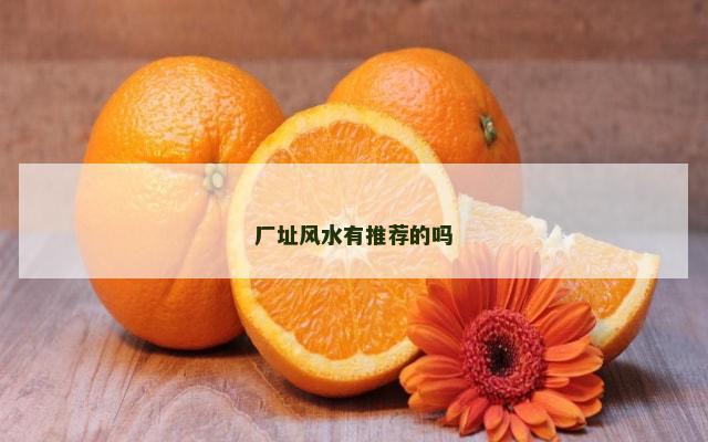 厂址风水有推荐的吗