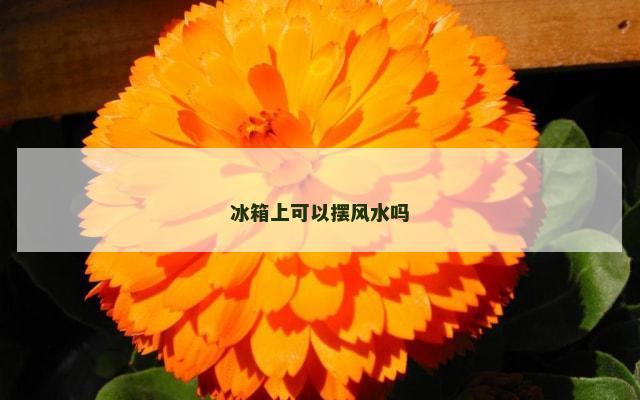 冰箱上可以摆风水吗