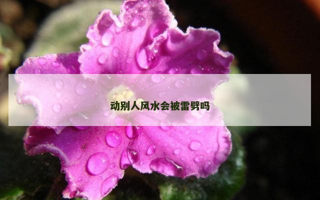 动别人风水会被雷劈吗