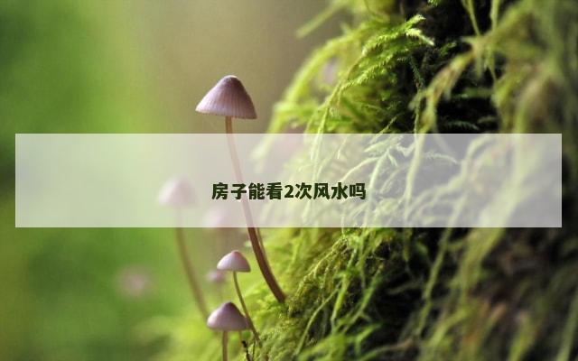 房子能看2次风水吗