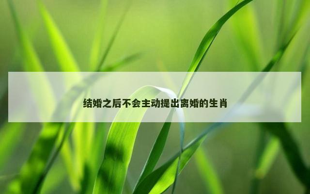 结婚之后不会主动提出离婚的生肖
