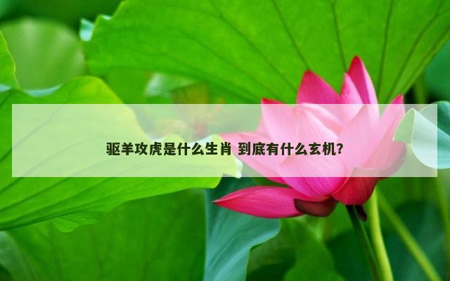 驱羊攻虎是什么生肖 到底有什么玄机？