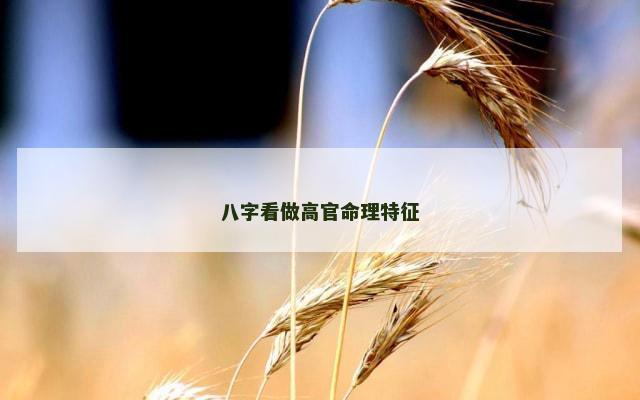 八字看做高官命理特征