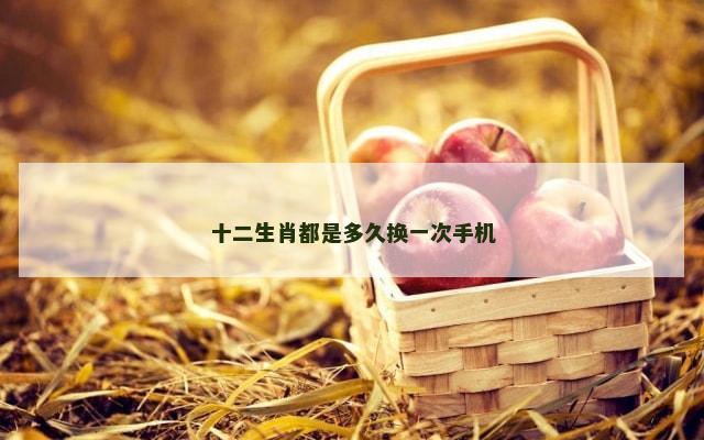 十二生肖都是多久换一次手机